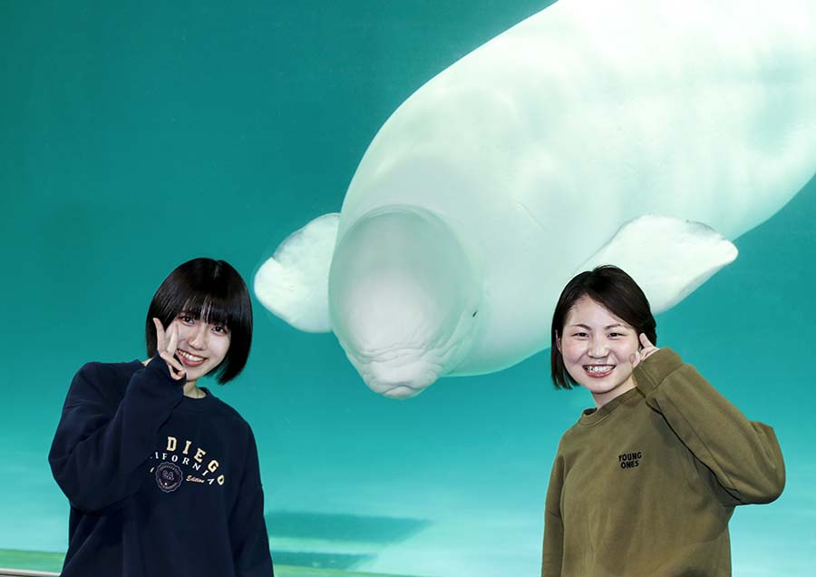 【年齢制限無し】「子どもと一緒に体験しよう！魚たちへの給餌体験付き宿泊プラン」【チェックアウト日体験】